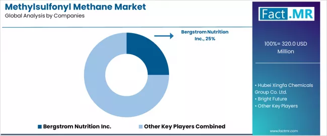 Methylsulfonyl Methane Market   Analysis By Company